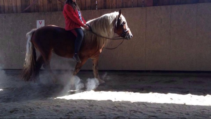 Photo de profil de baika73