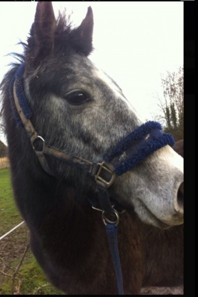 Photo de profil de balzane27