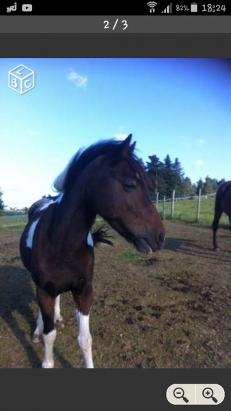 Photo de profil de bamba63