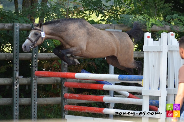 Photo de profil de banjonounet