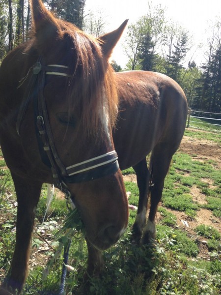 Photo de profil de banquecbp