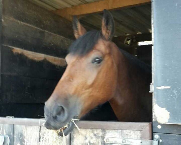 Photo de profil de bauraind