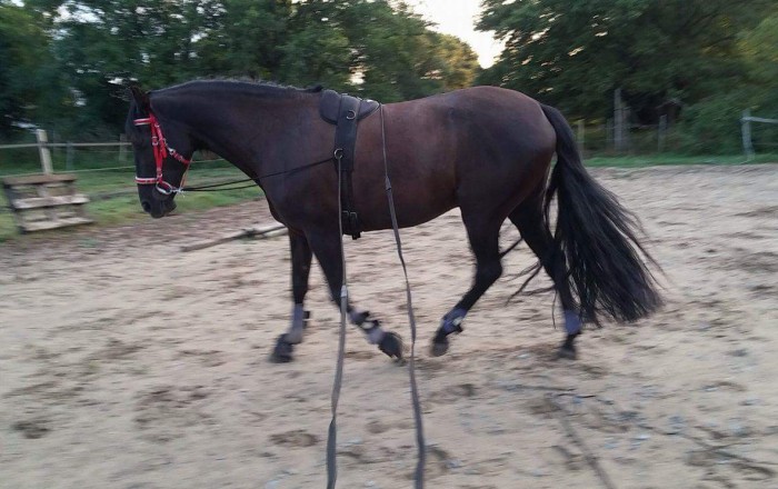 Photo de profil de bayaska