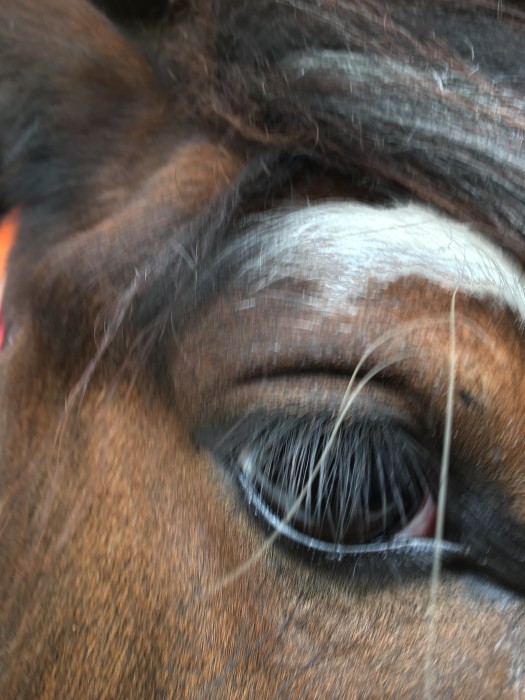 Photo de profil de beadouet1