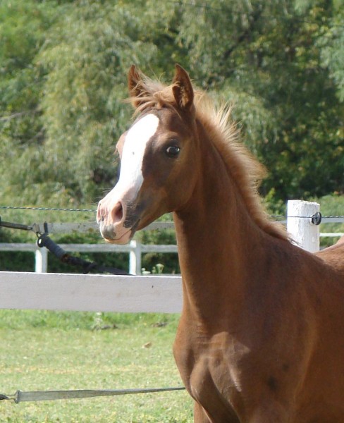 Photo de profil de bebecricri