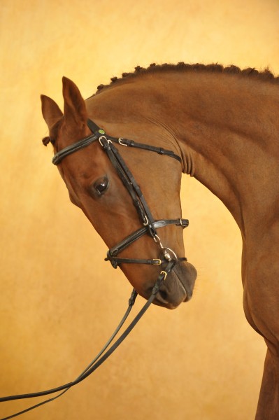 Photo de profil de belettebleue