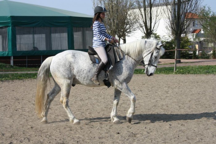 Photo de profil de bellasmile