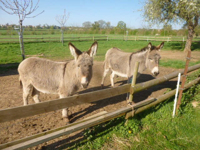 Photo de profil de billytou