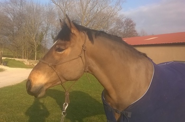 Photo de profil de blagueapart