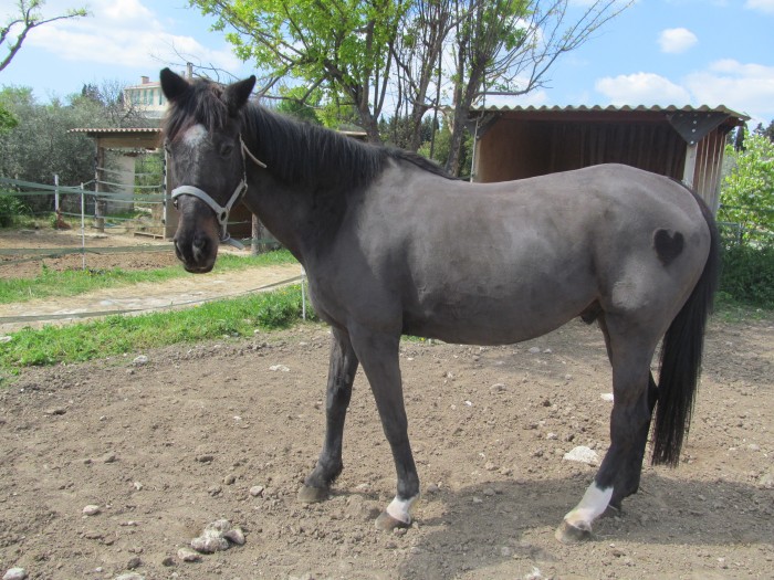 Photo de profil de blanchou1998