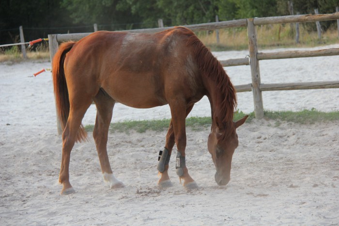 Photo de profil de bolide74
