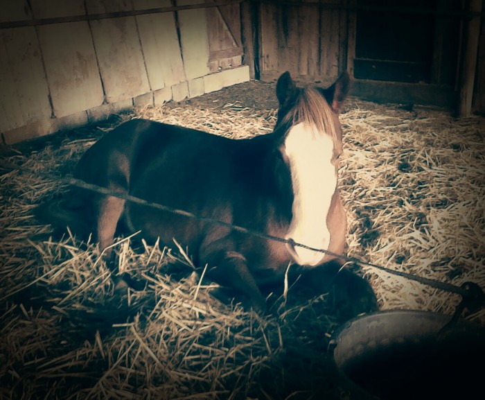 Photo de profil de bollywood