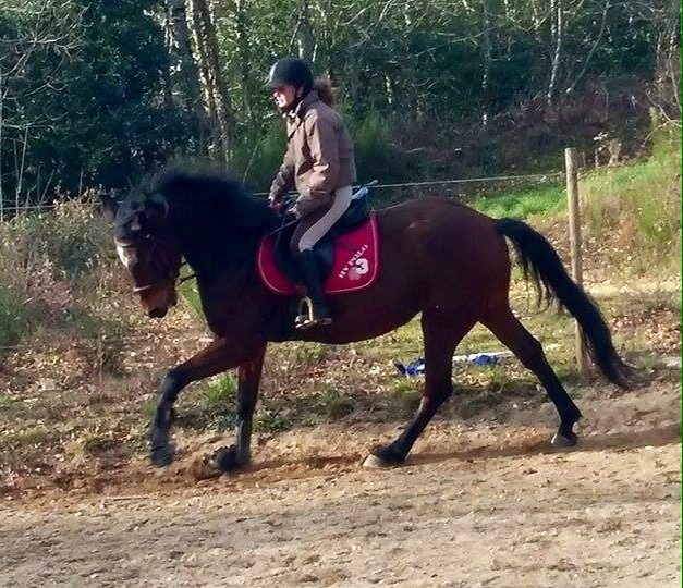 Photo de profil de boom81