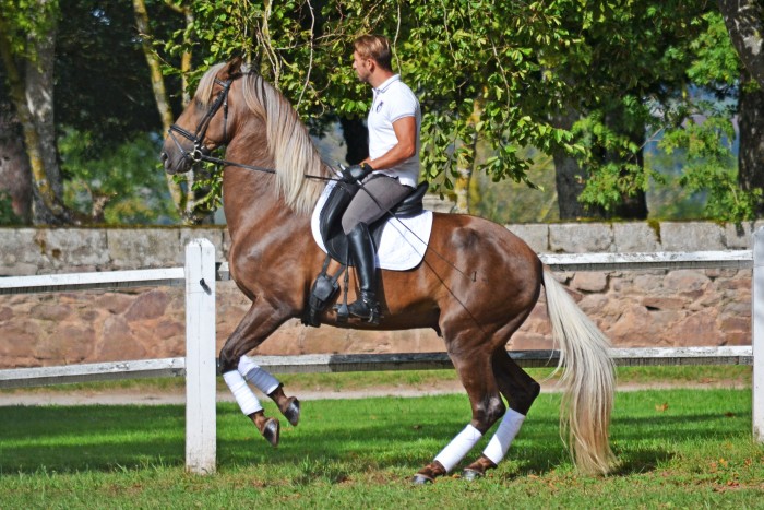 Photo de profil de bouba25