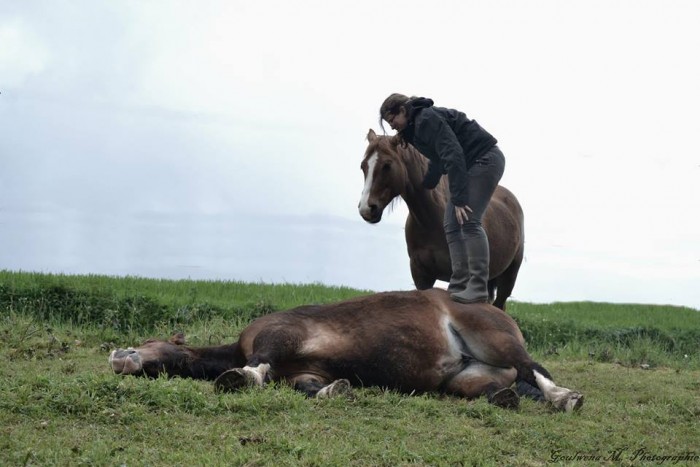 Photo de profil de breton_sav_heol