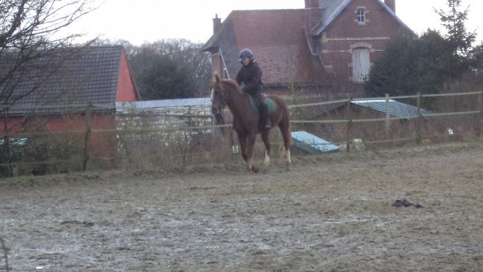 Photo de profil de brice60420