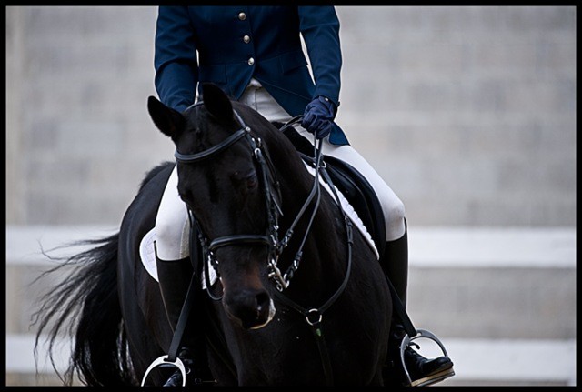 Photo de profil de brick