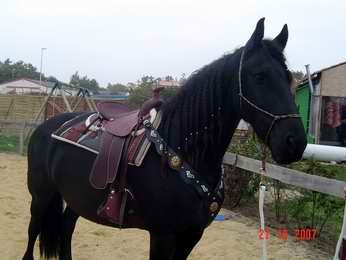 Photo de profil de brise_de_reve