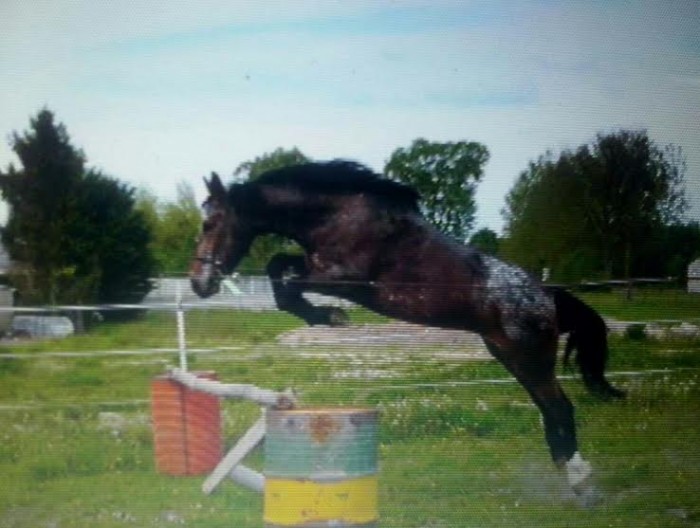 Photo de profil de brunodut51