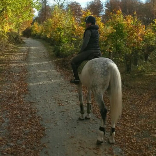 Photo de profil de btiti