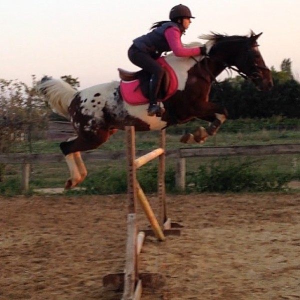 Photo de profil de camboncelia