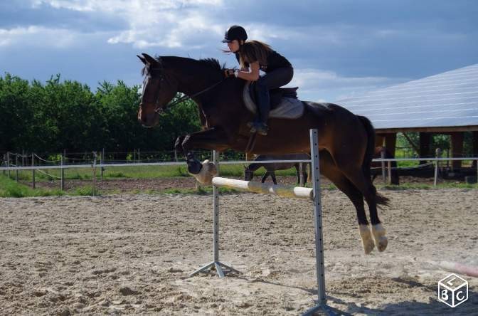Photo de profil de camequita