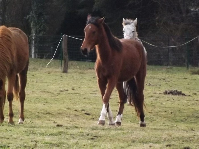 Photo de profil de camillecalinka