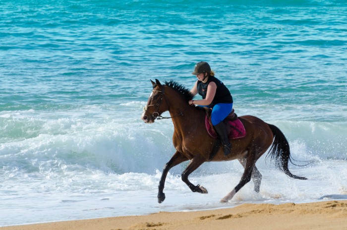 Photo de profil de camillecoleen