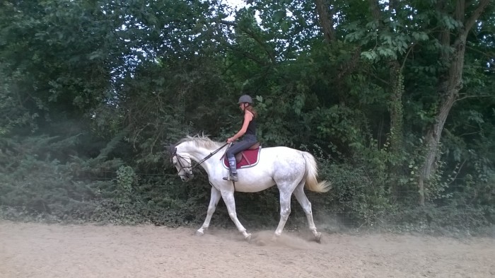 Photo de profil de camille.stif