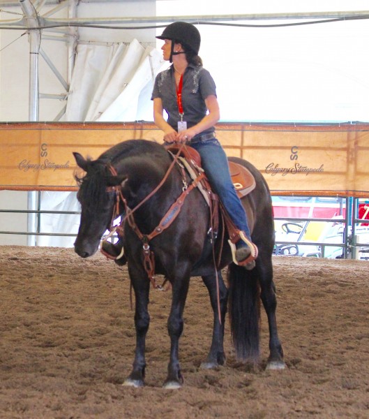 Photo de profil de canadianhorse