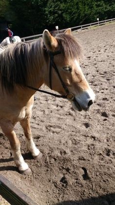 Photo de profil de candicee