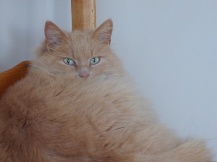 Photo de profil de caramel65