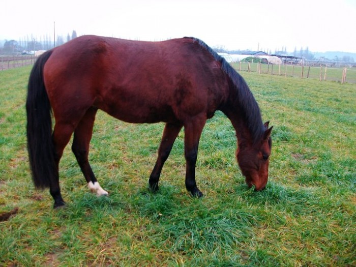 Photo de profil de carmenbrown