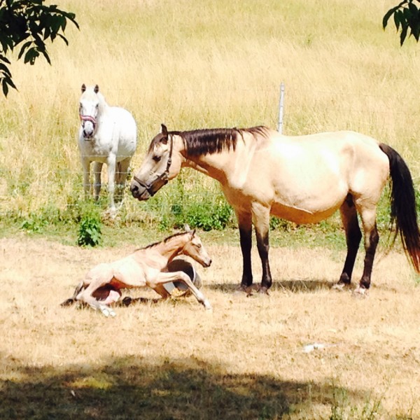 Photo de profil de carol