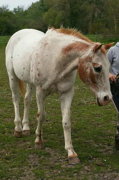 Photo de profil de carolinegl