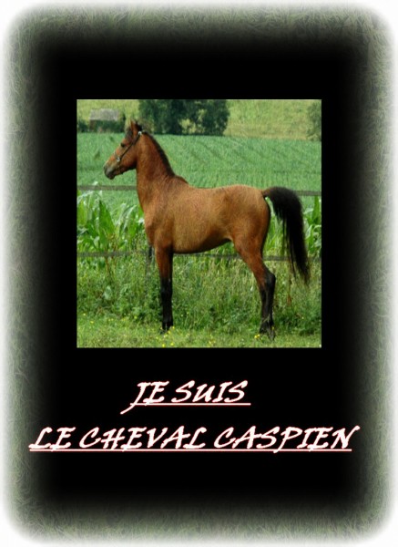 Photo de profil de caspien06