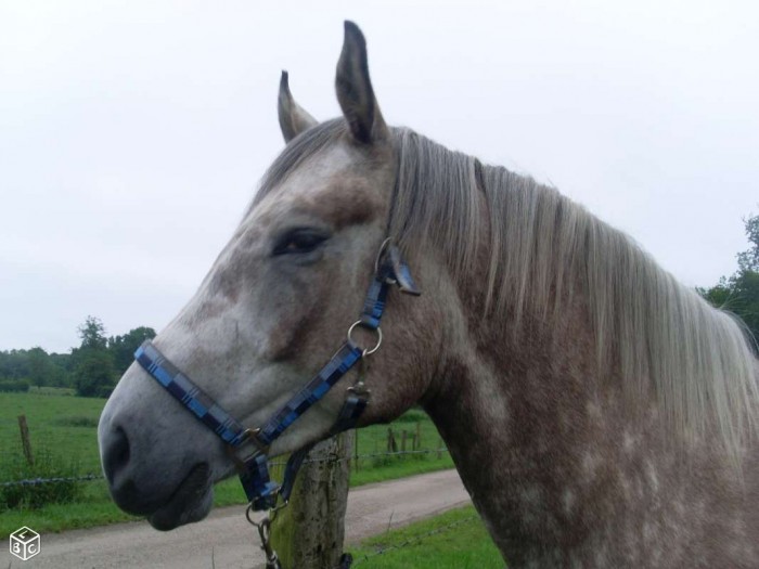 Photo de profil de cathy60390