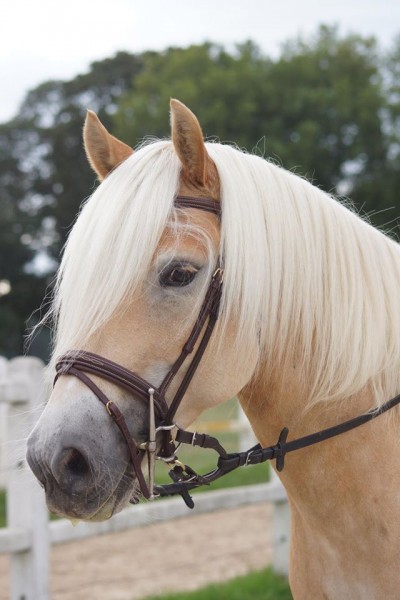 Photo de profil de cece257