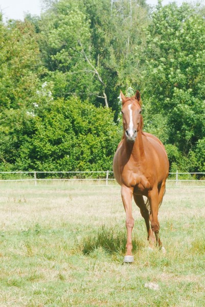 Photo de profil de ceciloou26