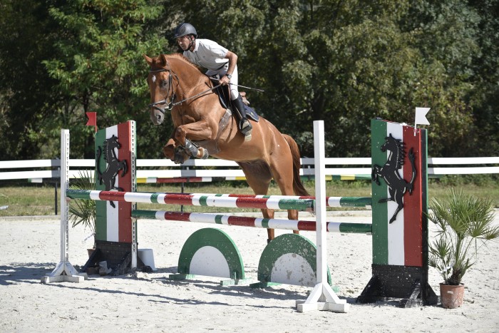 Photo de profil de cedurif