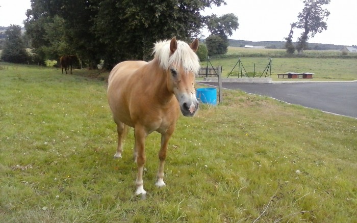 Photo de profil de celia44