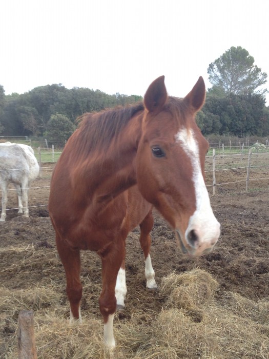 Photo de profil de celine34160