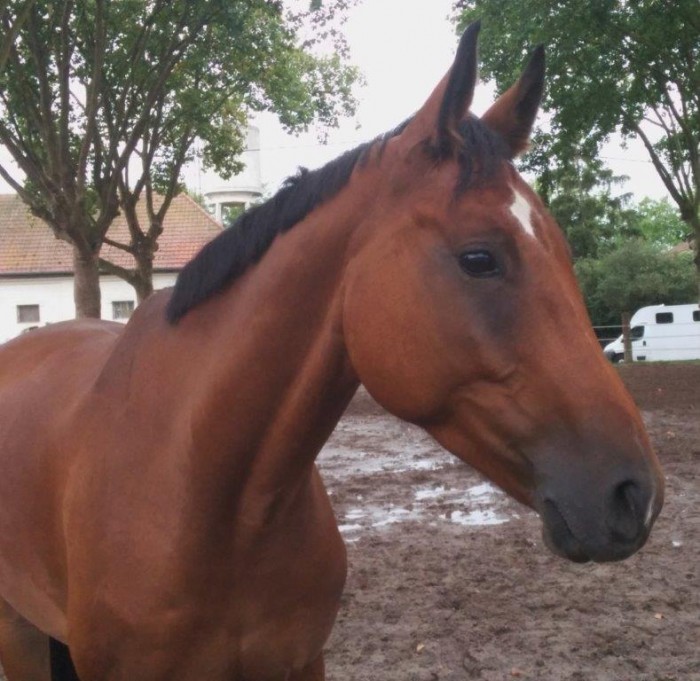 Photo de profil de celinecc