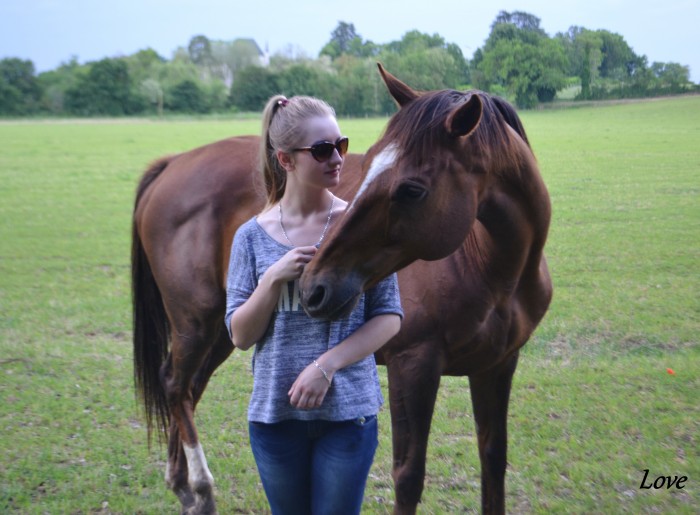 Photo de profil de celtic_park