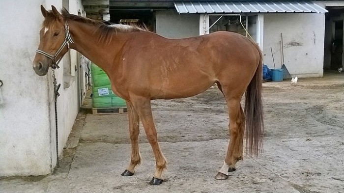 Photo de profil de cen91