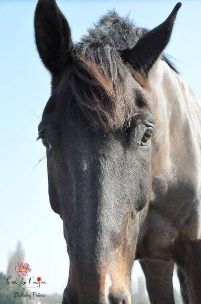 Photo de profil de cesse
