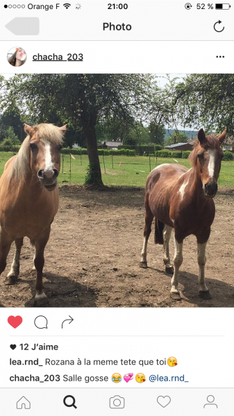 Photo de profil de chacha_203