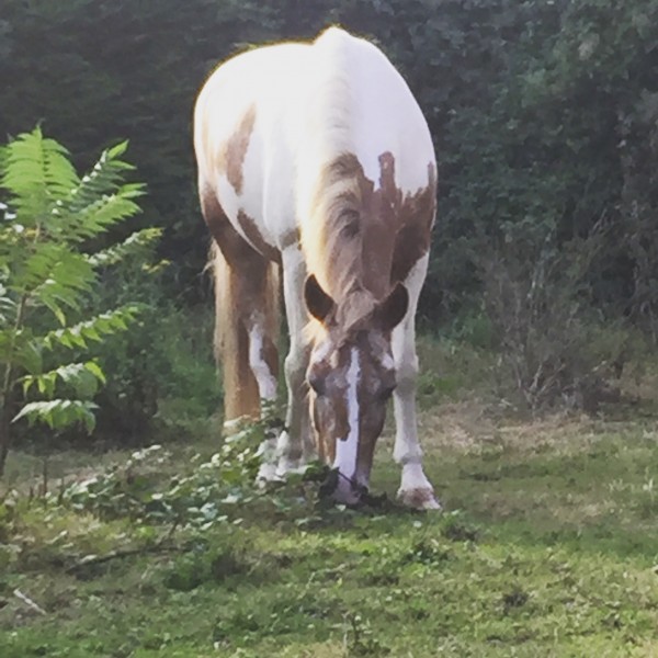 Photo de profil de chachoudf