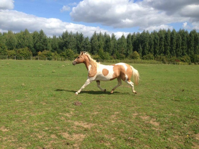 Photo de profil de chance37