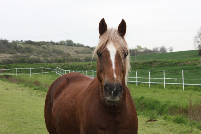 Photo de profil de chanhtha